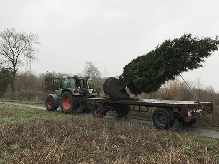 Vervoer van grote bomen​