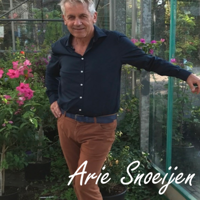 Arie Snoeijen